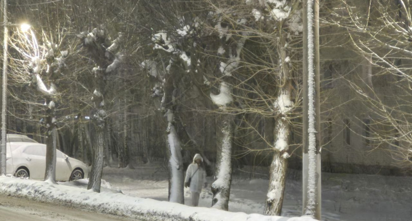 Слабый снег и крепкий мороз ждут в Челнах 24 декабря
