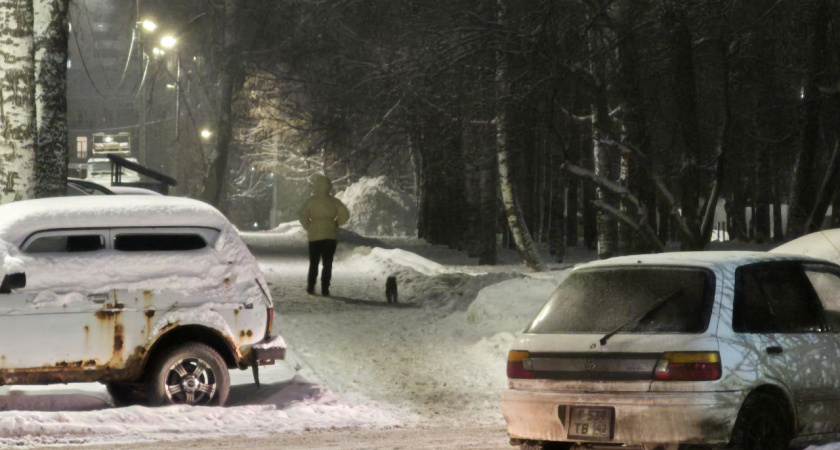 Мокрый снег пойдет в Челнах 26 декабря