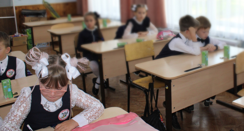 Челнинским школам и детсадам не хватает 250 учителей и воспитателей