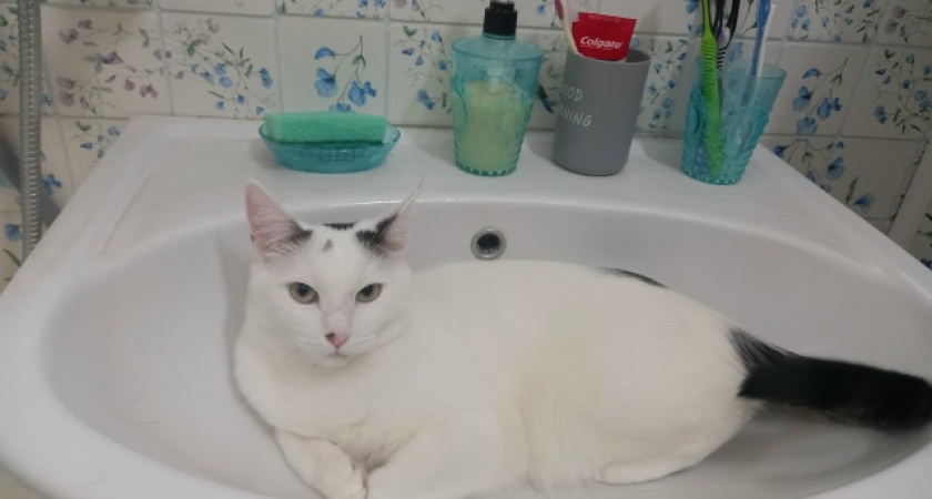 В Челнах жильцы 59-го комплекса возмущены работой УК и водоканала