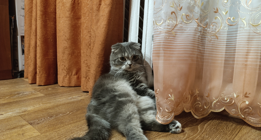 Жители четырех домов в Челнах пожаловались на отопление через соцсети