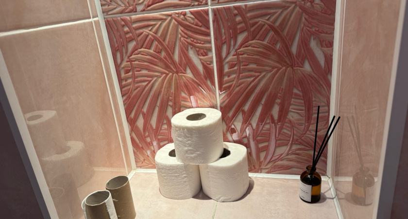 Забудьте про туалетную бумагу — это уже вчерашний день: в Европе давно перешли на более эффективную замену, а у нас только начинают
