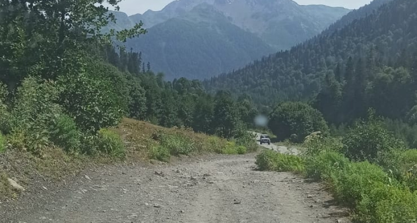 "Жесть на абхазских дорогах: что творят местные у границы. Мы еле ноги унесли" - честный отзыв российских туристов о поездке в Абхазию