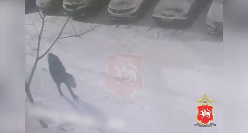 В Казани задержали подозреваемого в краже из проката электроинструментов