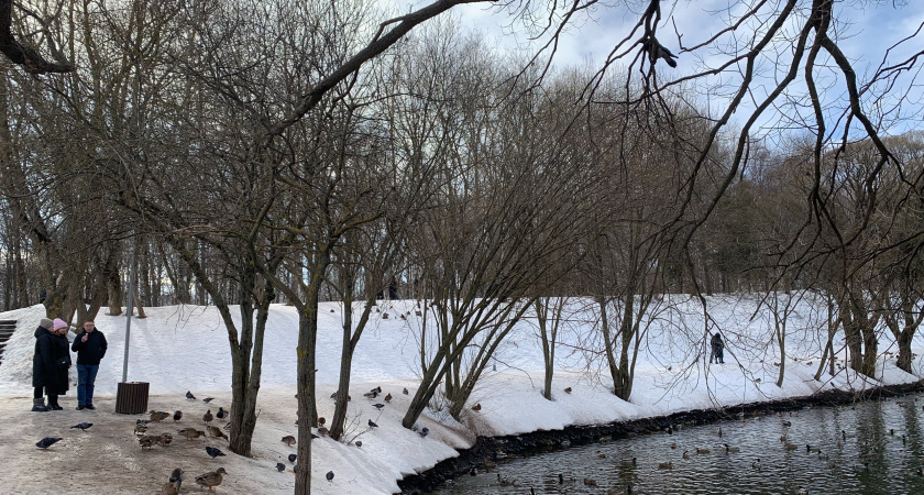 Гололедицу и небольшой снег прогнозируют в Набережных Челнах 1 января