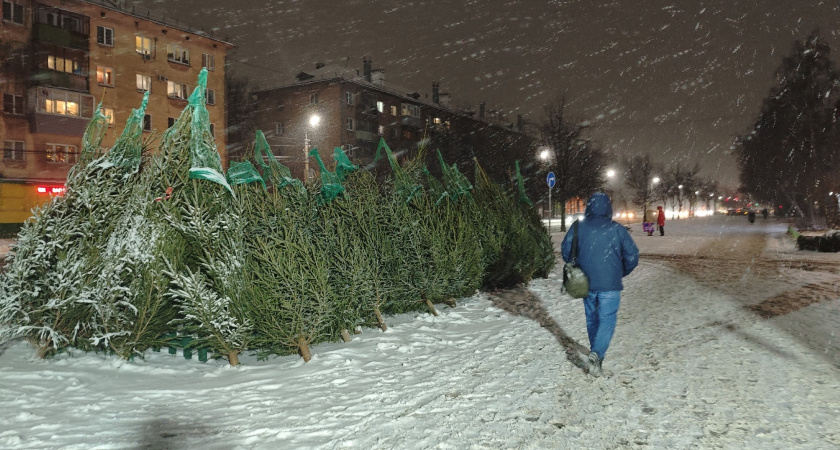 В Татарстане объявили штормовое предупреждение из-за метели