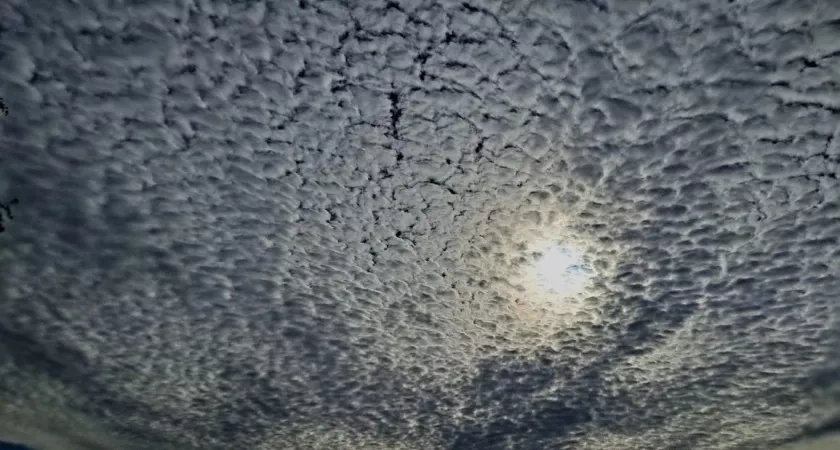 В Зеленодольском районе сбили БПЛА