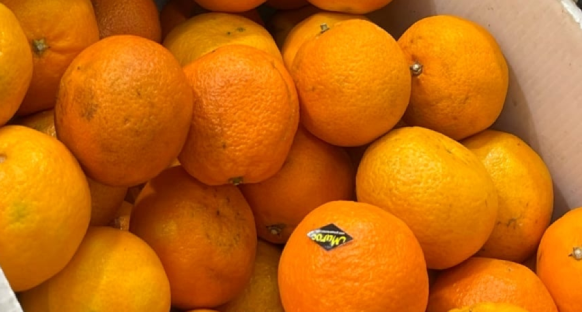 Откуда на цитрусовых появились знаменитые наклейки-ромбики и почему за них когда-то давали пожизненный срок