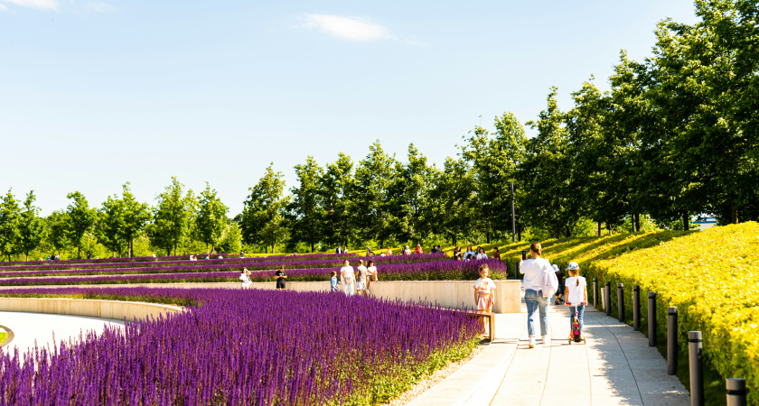 Почему Краснодарский край оказался совсем не раем: уехали на Юг с мечтами и через год вернулись назад, потеряв деньги