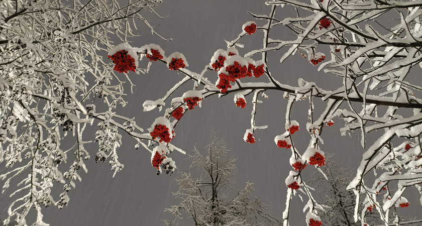 В Челнах 9 января прогнозируют туман и гололедицу