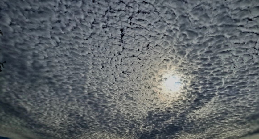 Минэкологии Татарстана выявило более 1,5 тысяч нарушений в 2025 году