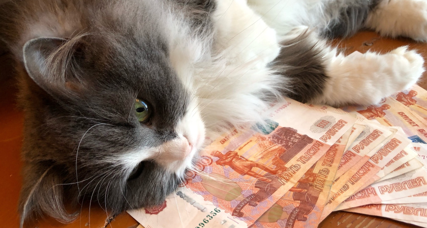 Жительница Набережных Челнов лишилась 50 тысяч рублей из-за сообщения о «выигрыше»