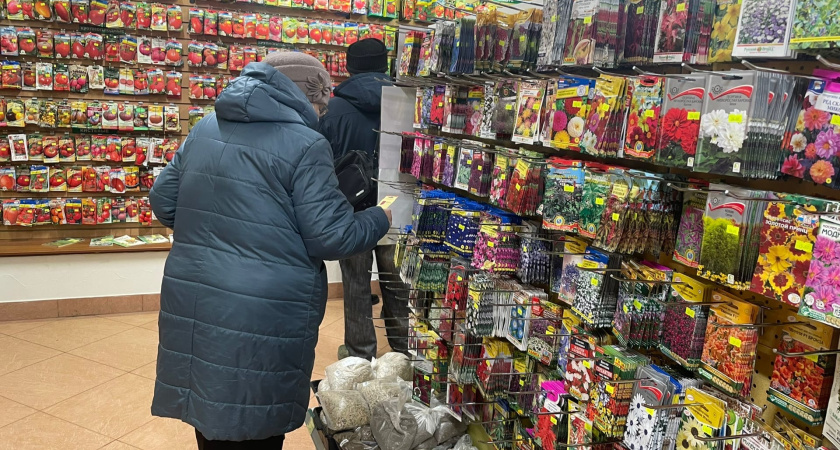 Ухватила 7 пачек огурцов, которые в конце января уже днем с огнем будет не найти: урожайные хиты 2026 года