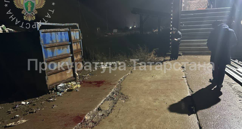 Мужчина лишился ноги после нападения собак под Нижнекамском