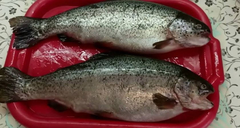 Купил дешевую форель в "Светофоре", а при разделке очень удивился: жена тут же ахнула - не рыба, а золотой клад