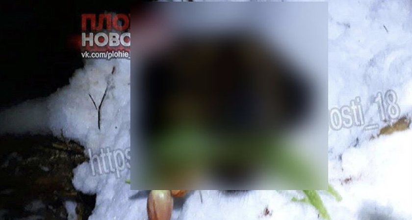 В Татарстане живодеры сделали шокирующие фотографии к 8 марта