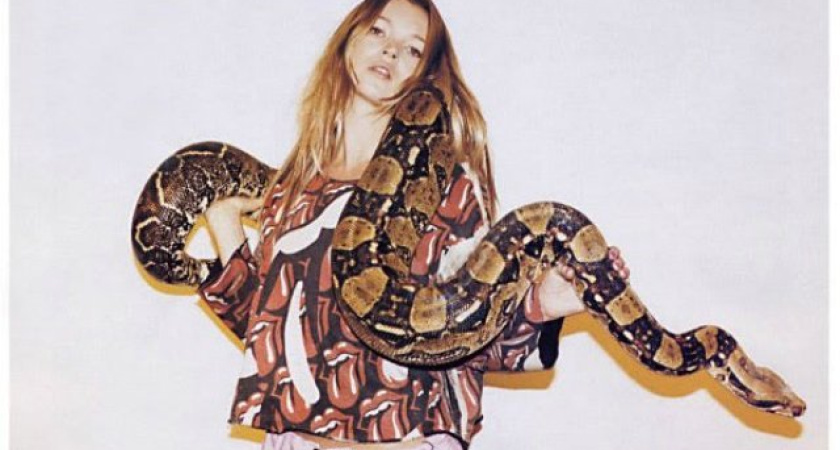 Где найти животных для фотосессии?