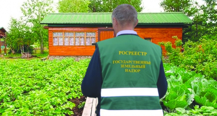 Кто ответит дачникам на интересующие их вопросы?