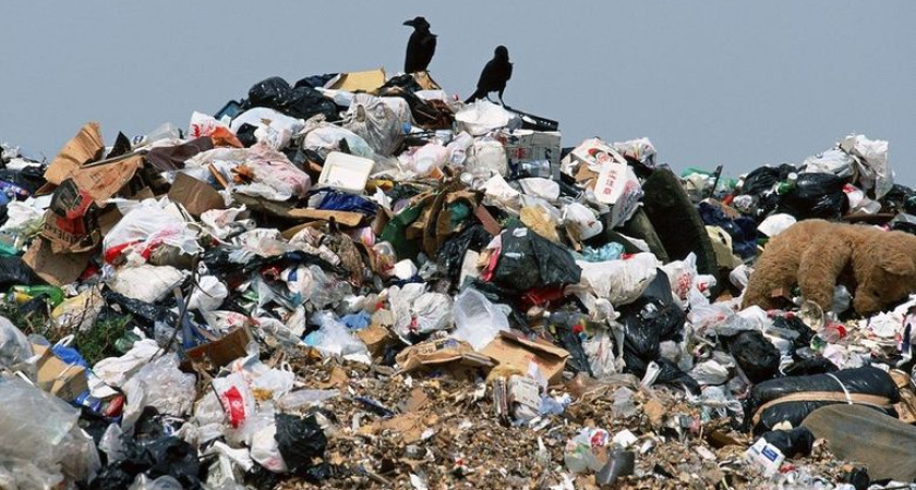 70 экологических нарушений было найдено в РТ