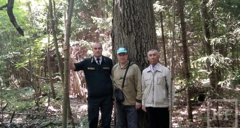 В Татарстане есть дуб, который живет уже два века