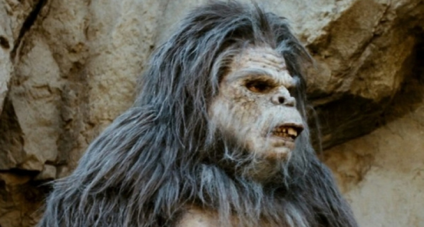 В Калуге на прохожего напал Йети