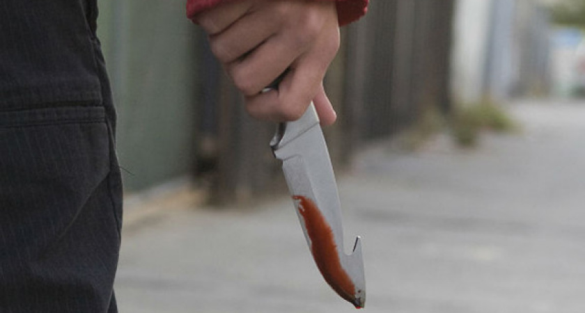 Житель Карелии сломал нож в попытке убить жертву и ушел искать другой