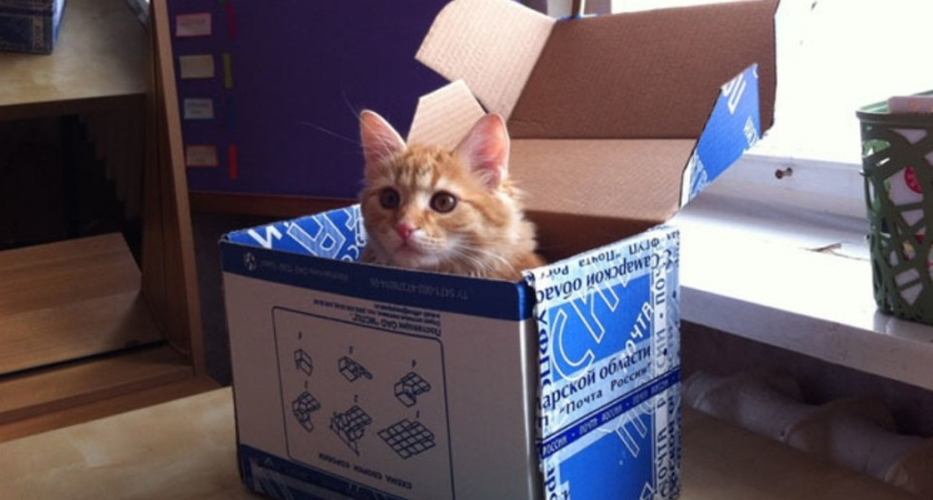 Самая частая контрабанда