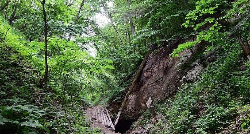 Юрьевская пещера станет объектом туристического посещения