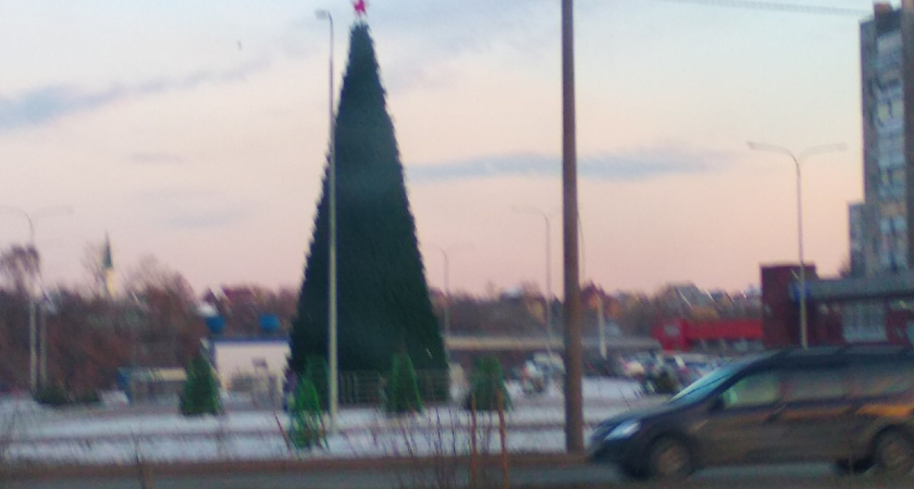 В начале декабря в Комсомольском районе нарядят елочки