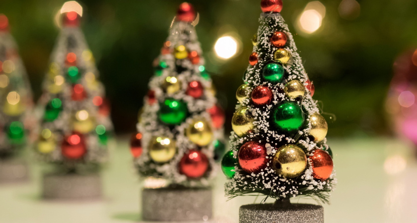 8 мест, где можно купить новогодние елки в Челнах