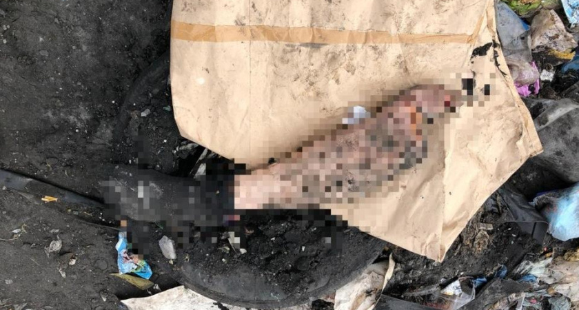 На мусоросортировочном предприятии в Челнах нашли ногу человека
