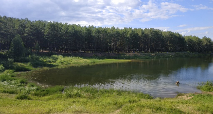 Челнинцы высказали свои идеи по благоустройству парка «Прибрежный»