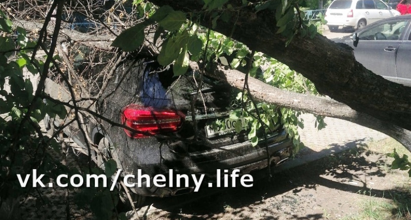 Кто виноват? В Челнах в 23-м комплексе на машину упало дерево