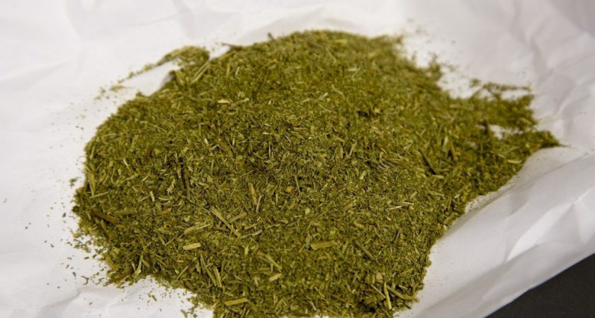 Торгует смертью: челнинец из Москвы привез 1,5 кг марихуаны