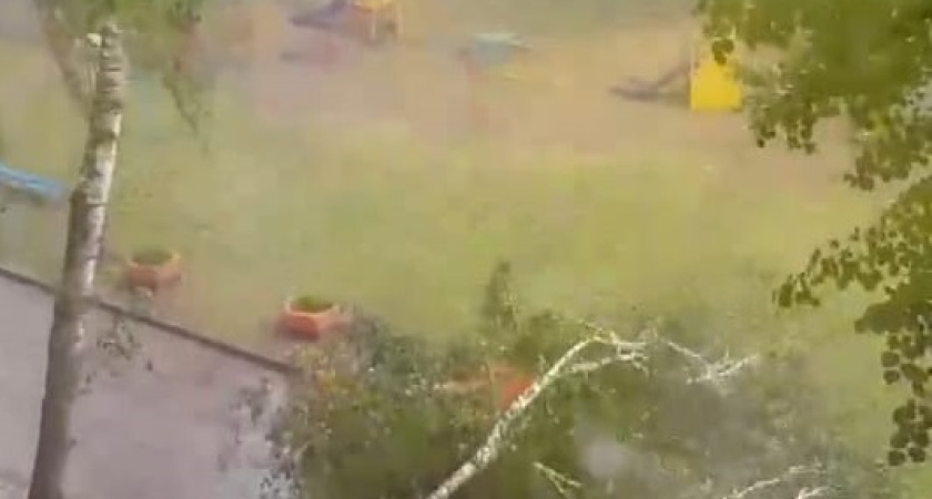 В Челнах в 30-м комплексе дерево упало на дорогу