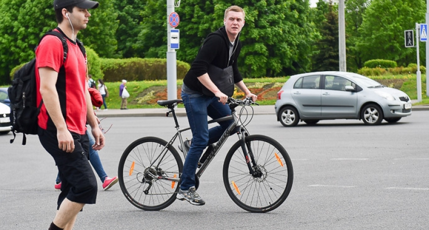 Назревает скандал: «Выделите этим оленям отдельную полосу»