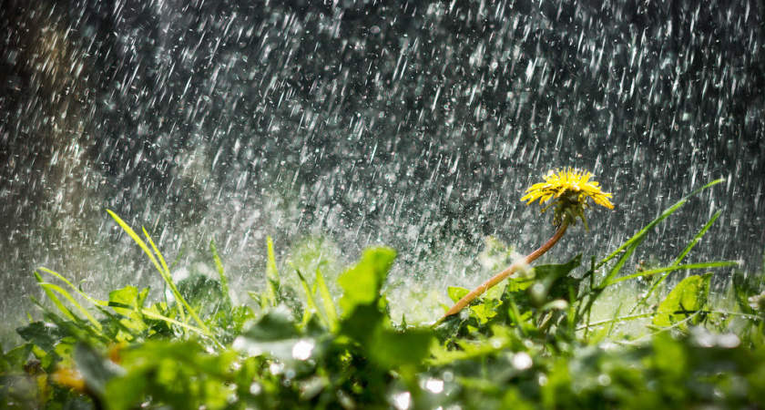 Сегодня в Татарстане гроза, сильный дождь, град