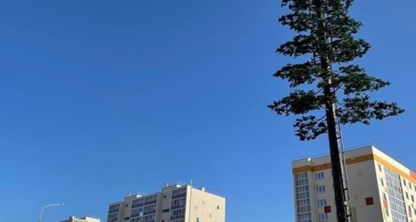 В Нижнекамске сотовую вышку «замаскировали» под сосну