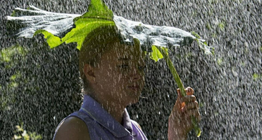 Все перемешалось: жара, дожди, шквалистый ветер