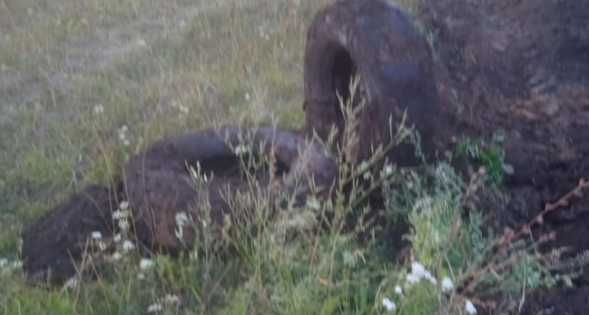 Очередная отписка: экологи сообщили, что утилизировали свалку около Челнов