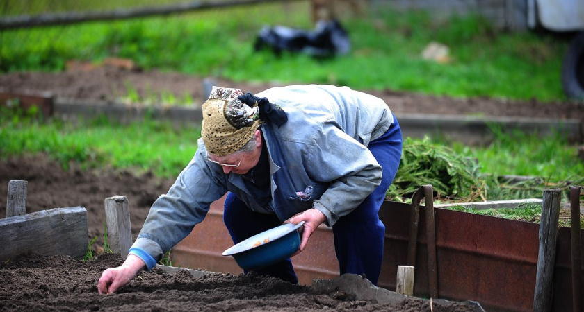 Дождались: В СНТ «Юбилейный» и «Сосновая роща» отремонтируют дороги