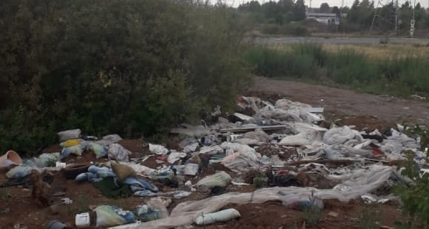 Свалки… свалки… свалки… - «изюминка» города со знаком минус