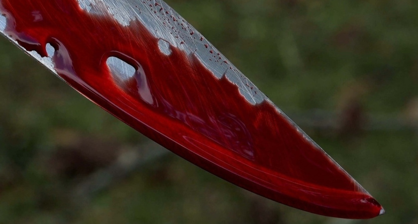 Стали известны подробности двойного убийства в Тукаевском районе