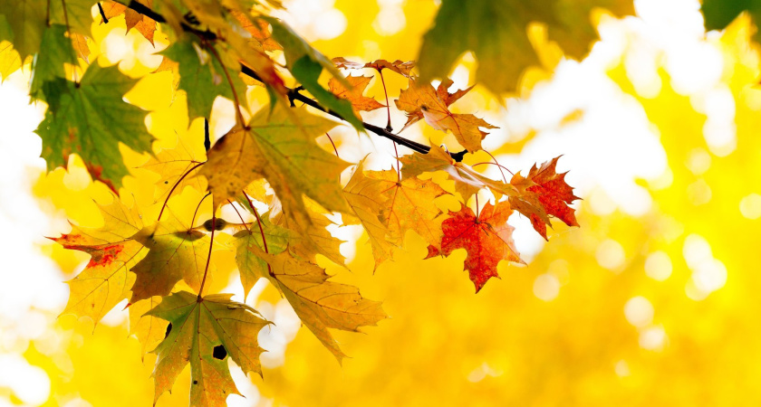 До +28° С: первые дни осени будут жаркими