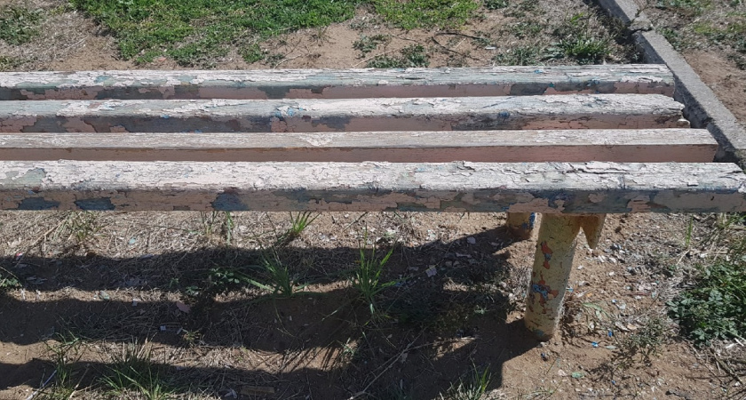 «Детские площадки разрушены, утопаем в мусоре, живем по соседству с тараканами»