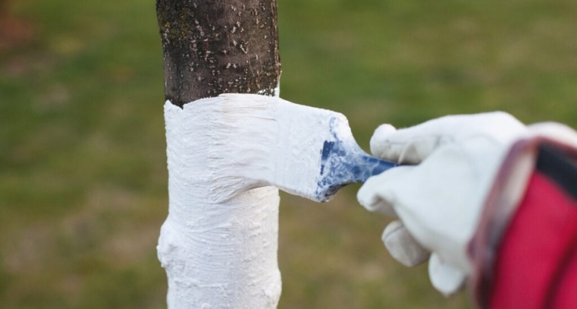 Поставили точку в уголовном деле экс-чиновника Тукаевского района, присвоившего 1,6 млн рублей