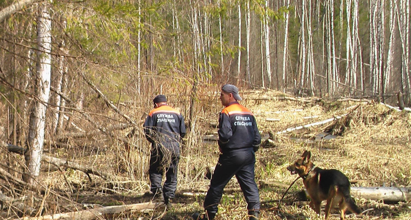 Живой, здоровый: в Тукаевском районе нашли мужчину, который пропал 6-го сентября