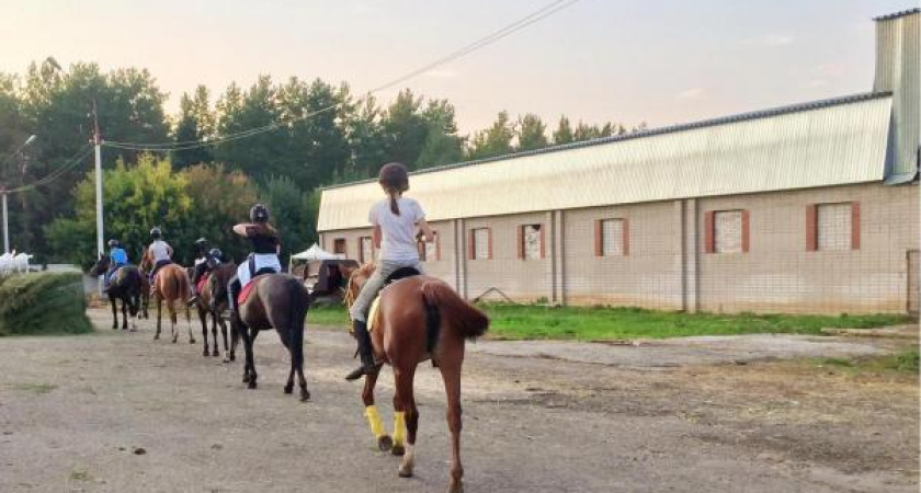 Целый ряд нарушений выявила Прокуратура в работе КСШ «Тулпар»