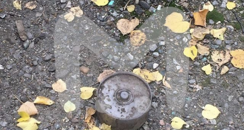 Челнинка перепутала кейс для CD-дисков с противотанковой миной