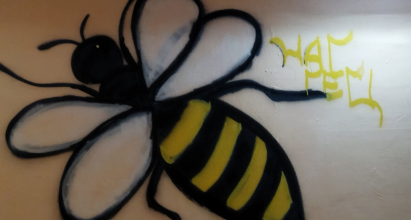 «Я б лучше нарисовал»: челнинцы оценивают творчество неизвестного художника